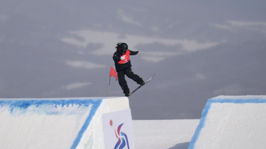 “努力和付出没有白费”