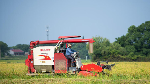 新春走基层｜产业兴旺生态美 日子富足幸福长