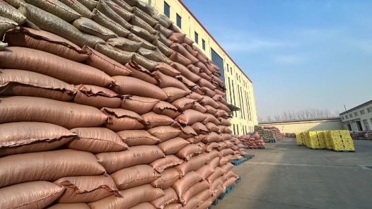 新春走基层｜产量占全国近三分之一，这座“炒货小镇”春节前更飘香