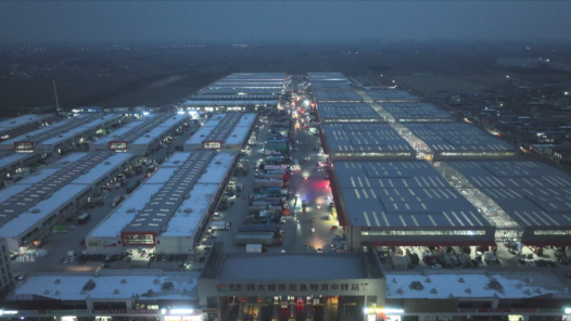 新春走基层·记者体验360行｜“95后”新农人！大市场里的新买手