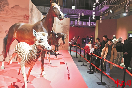 3334741_tpzz_1770962555372_b