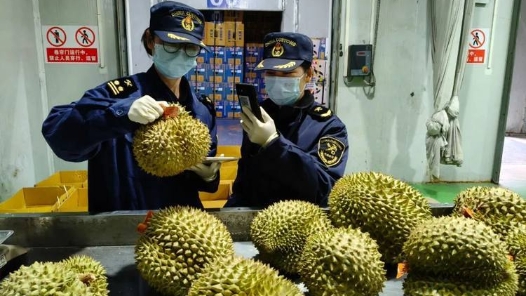 新春走基层丨15秒通关瓜果香