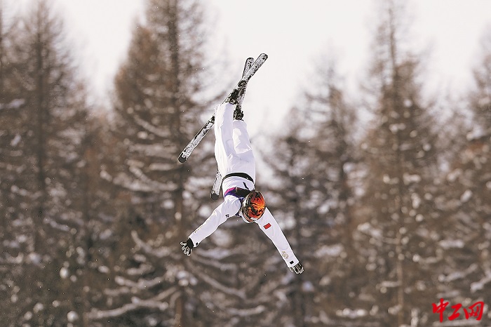 3344211_tpzz_1771857134280_b 3344211_tpzz_1771857134280_b