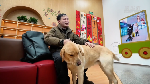 新春走基层｜春运里的温柔守护：导盲犬“拿铁”与视障旅客的暖心旅途