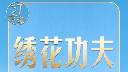 习近平的两会之喻｜城市管理应该像绣花一样精细