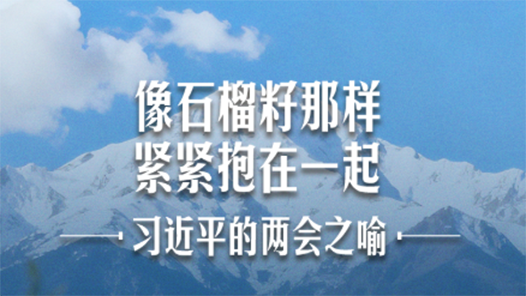 习近平的两会之喻｜像石榴籽那样紧紧抱在一起