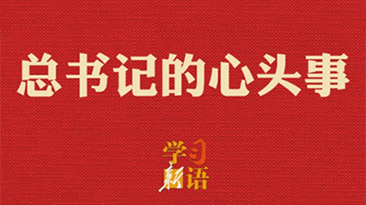 学习新语·两会｜总书记的心头事