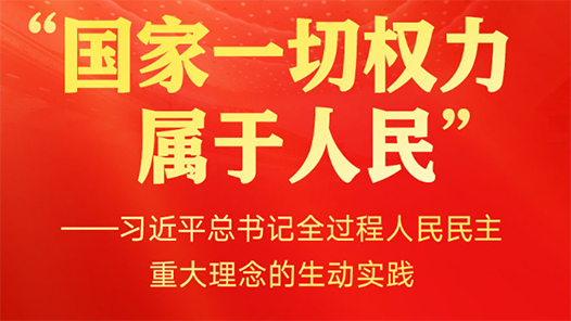习近平总书记全过程人民民主重大理念的生动实践