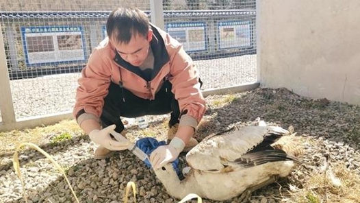 新春走基层丨搭建海拔2200米的“生命方舟”