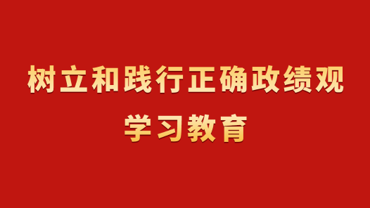树立和践行正确政绩观学习教育