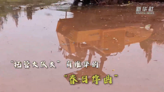 新春走基层｜“托管大队长”肖维华的“春日序曲”