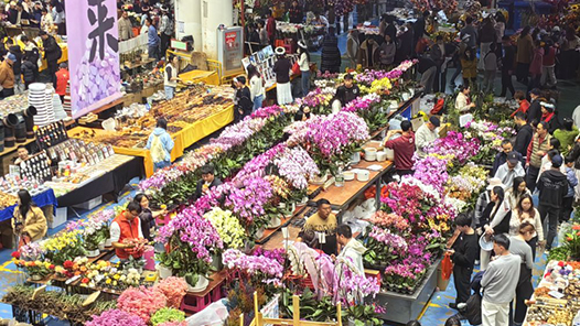 新春走基层｜龙华村的“芳香致富路”