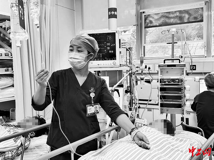 3352789_tpzz_1772520588023_b