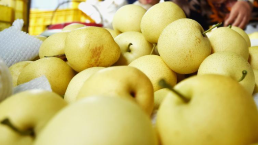 惊蛰至，疏肝润燥正当时