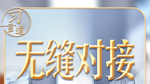 习近平的两会之喻｜从“两张皮”到“无缝对接”