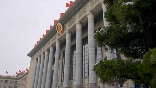 时政两会说｜探新路解新题 经济大省勇挑大梁——总书记同全国人大代表共商国是