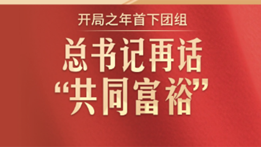 此行间·开局之年首下团组，总书记再话“共同富裕”