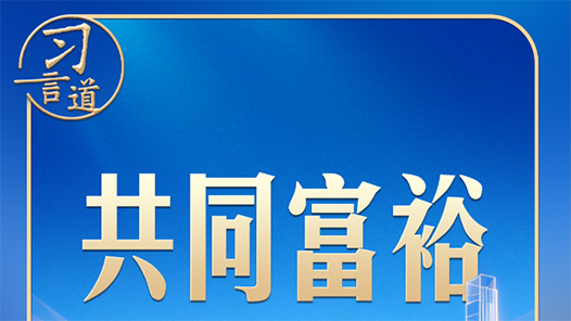习言道丨四到江苏团，习近平都提到共同富裕