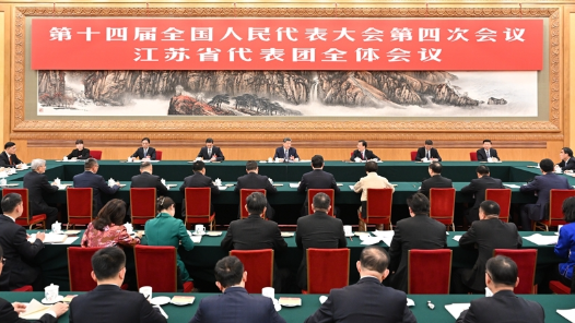 微镜头·习近平总书记两会“下团组”丨“好规划和执行力，这两条要结合起来”