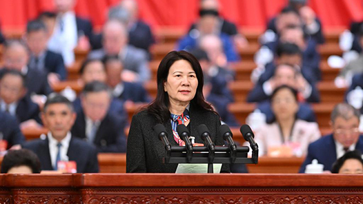 霍金花：夯实底层技术 加快建设制造强国