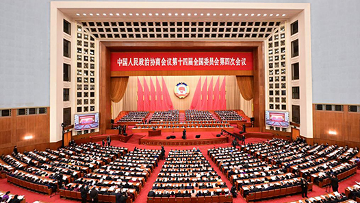 回放：全国政协十四届四次会议第二次全体会议
