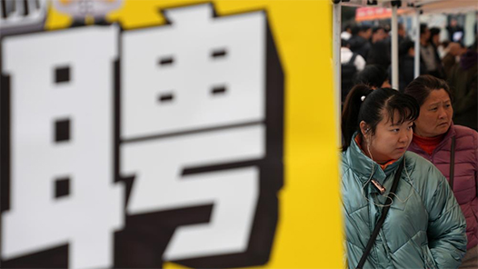 两会现场速递｜人力资源社会保障部部长王晓萍：有信心、有能力实现就业大局稳定、态势向好