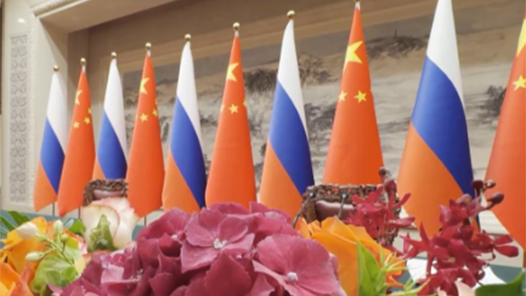 两会新华社快讯丨王毅：中俄关系“风雨不动安如山”