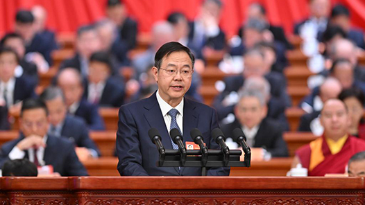 张恩迪：扎实推进制度型开放 营造一流营商环境 以开放促改革促发展