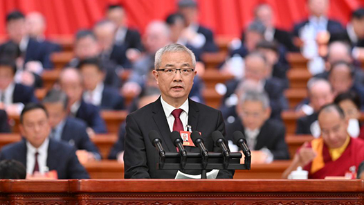 杨明杰：稳步推进落实四大全球倡议 推动构建人类命运共同体