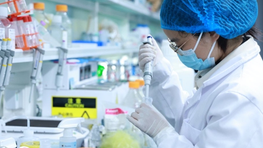 科研人员在实验室生成抗肿瘤免疫细胞