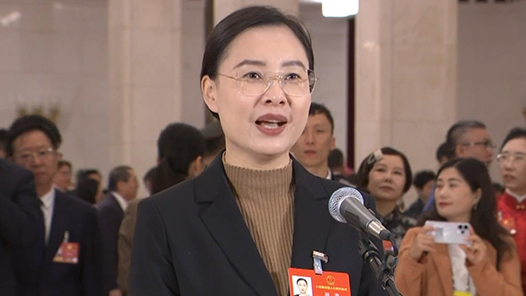 代表通道｜顾雪：一卡通城、一卡通游 京津冀“小卡片”折射民生温度