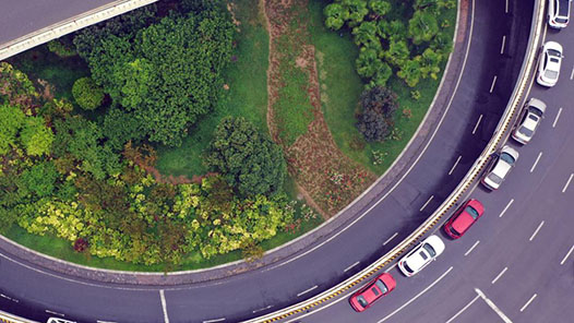 两会新华社快讯：今年将修改教师法、道路交通安全法等