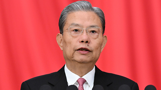 现场实录：赵乐际作全国人大常委会工作报告