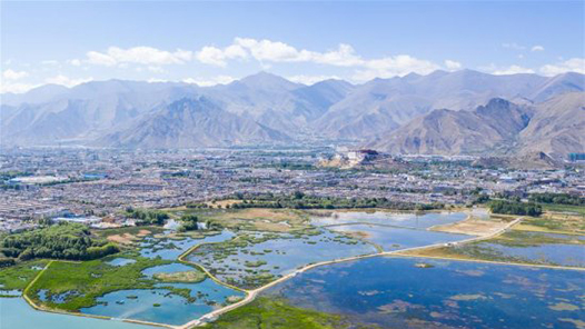 两会新华社快讯：去年起诉破坏生态环境资源犯罪3.3万人