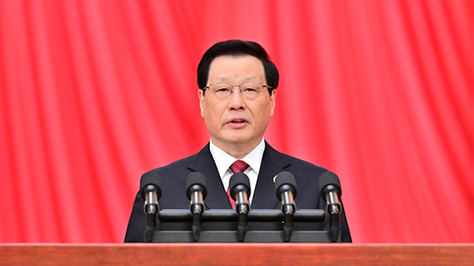 现场实录：应勇作最高人民检察院工作报告