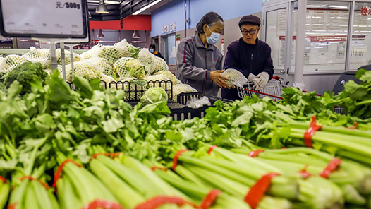 农业农村部部长韩俊：蔬菜、畜禽、水产品等当家品种立足国内有保障