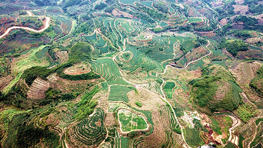 农业农村部部长韩俊：全国已建立防止返贫致贫监测帮扶体系