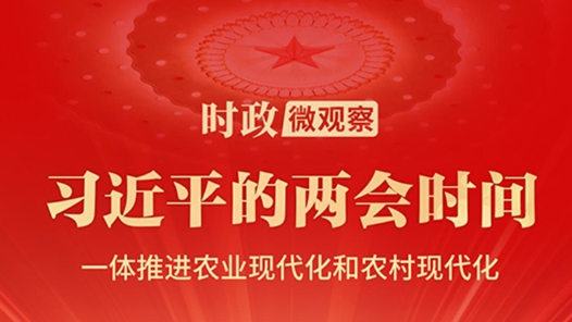 习近平的两会时间｜加快建设宜居宜业和美乡村