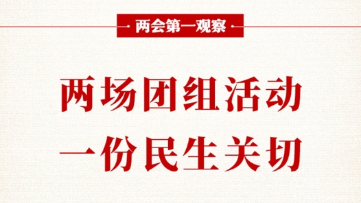 两会第一观察｜两场团组活动，一份民生关切