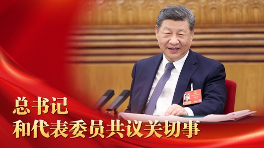 微视频｜总书记和代表委员共议关切事