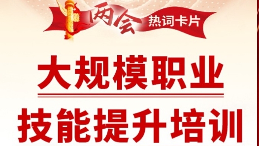 两会热词丨大规模职业技能提升培训
