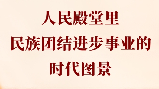 两会第一观察｜人民殿堂里，民族团结进步事业的时代图景