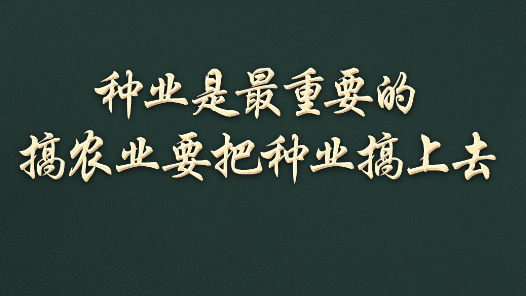 习语丨一粒小小的种子，何以让总书记如此牵挂？