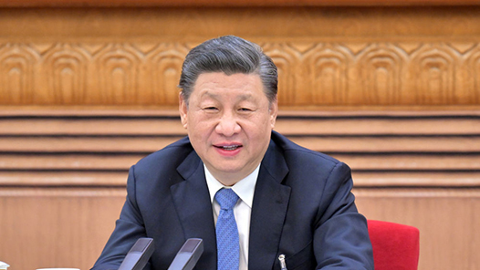 习近平总书记同代表委员共商民族团结进步事业的故事