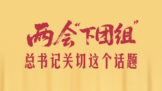 一见·两会“下团组”，总书记关切这个话题