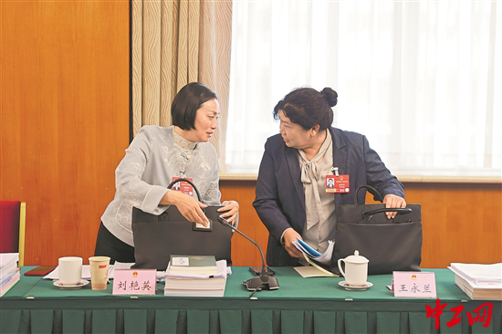 3365949_tpzz_1773327699929_b 3365949_tpzz_1773327699929_b