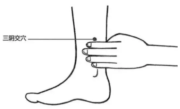 三阴交穴