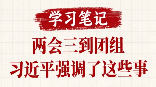 学习笔记｜两会三到团组，习近平强调了这些事