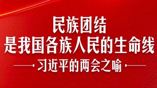 习近平的两会之喻｜我国各族人民的生命线