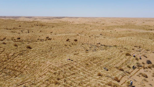 研读《习近平与一线职工朋友们》·践行嘱托 一线回响｜以劳模精神为引领守护绿色家园